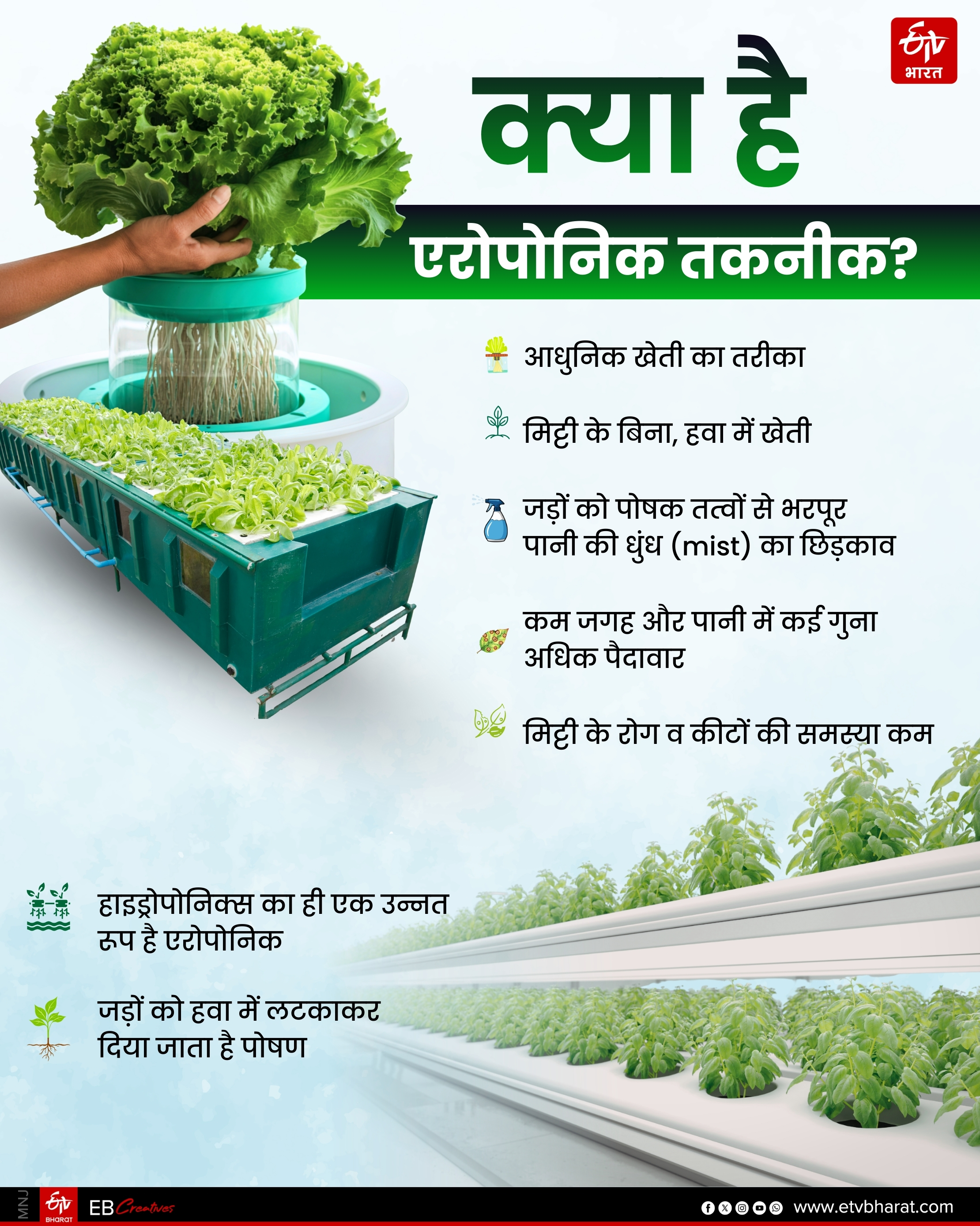 Farming in air in Bihar