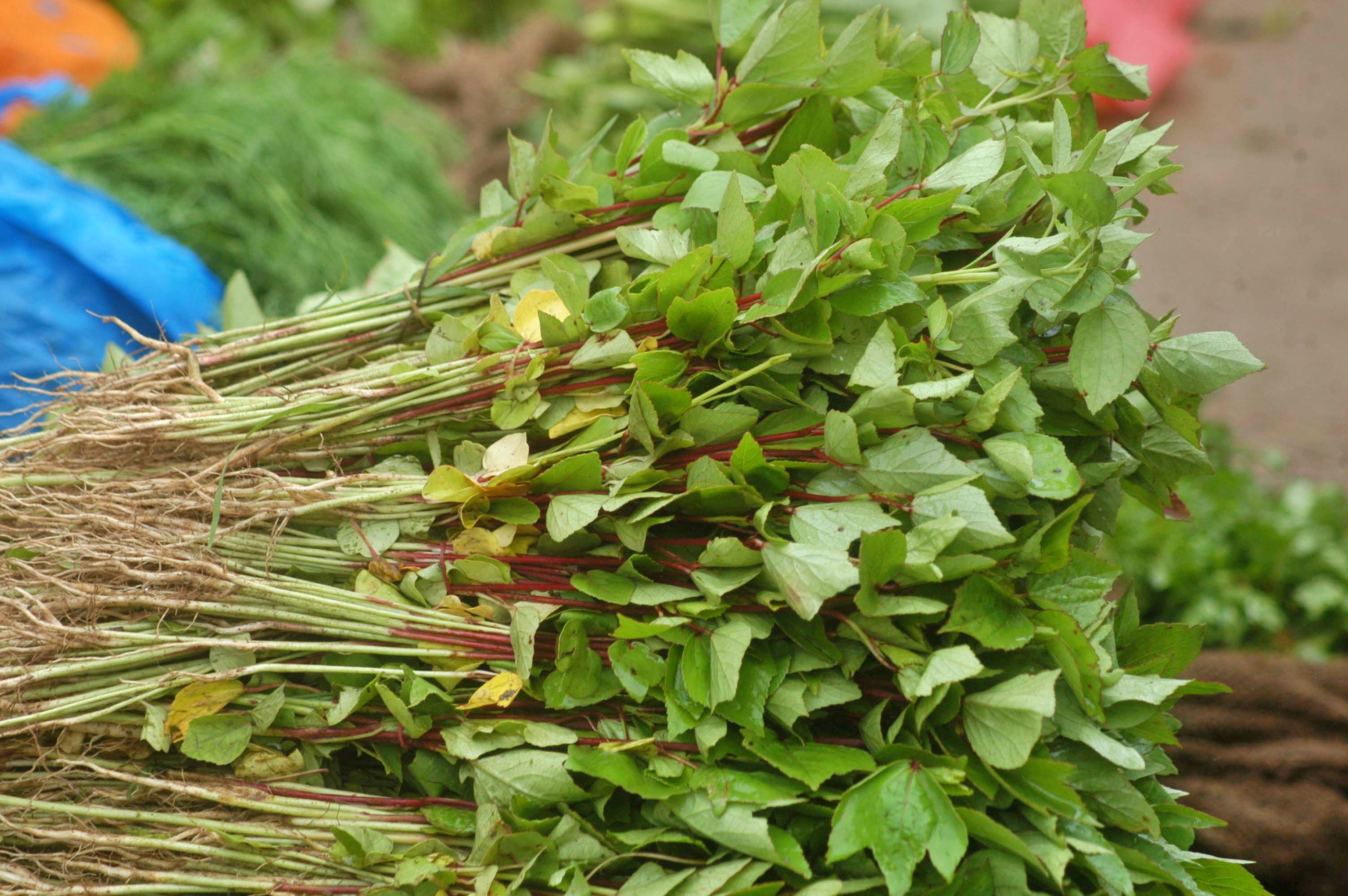 Gongura Pulusu Kura Recipe