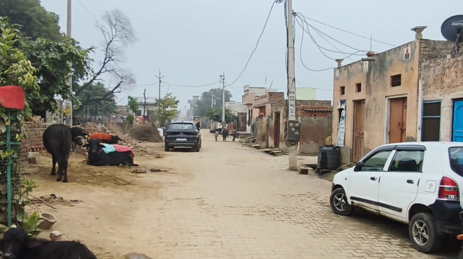 Fatehabad Sanjay home celebrates the birth of a son after 10 daughters