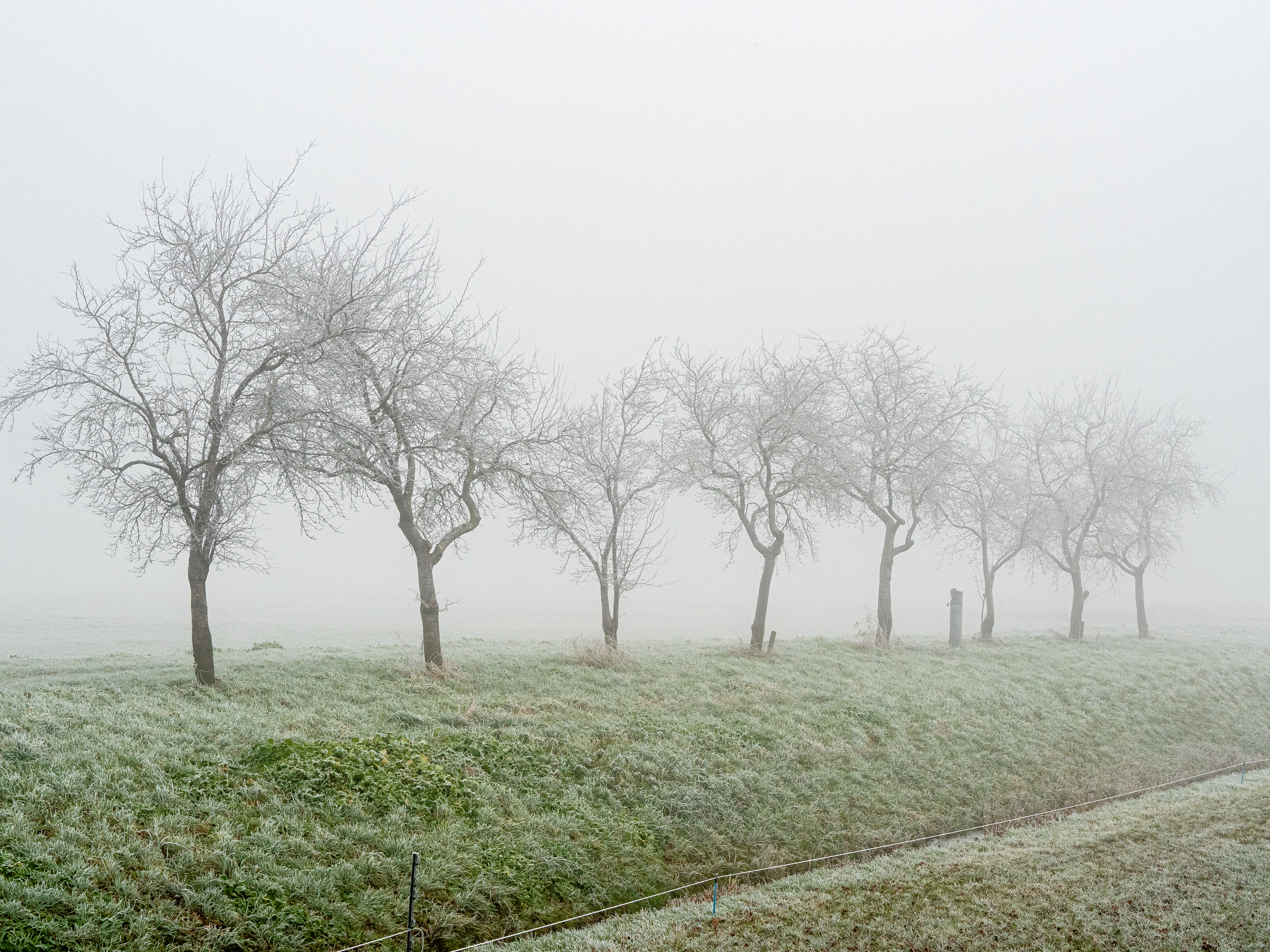 MADHYA PRADESH LA NINA EFFECt