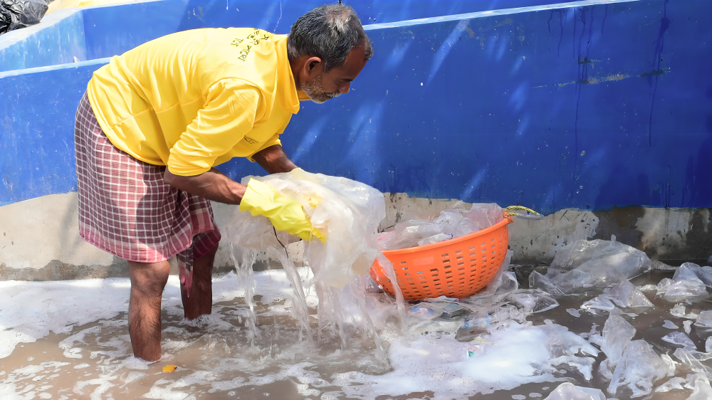 Green Gangasagar Mela