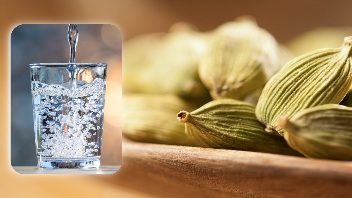 BENEFITS OF CARDAMOM WATER FOR MEN  HEALTH BENEFITS OF CARDAMOM  CARDAMOM WATER BENEFITS  ಏಲಕ್ಕಿ ನೀರಿನ ಆರೋಗ್ಯದ ಲಾಭಗಳು