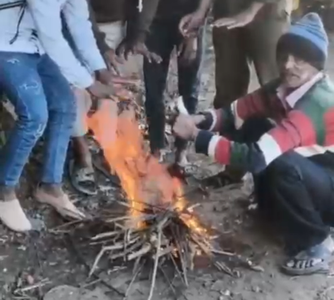 Ooty tourism crisis report Nilgiris epass system impact Tamil Nadu hill station news Ooty botanical garden visitors