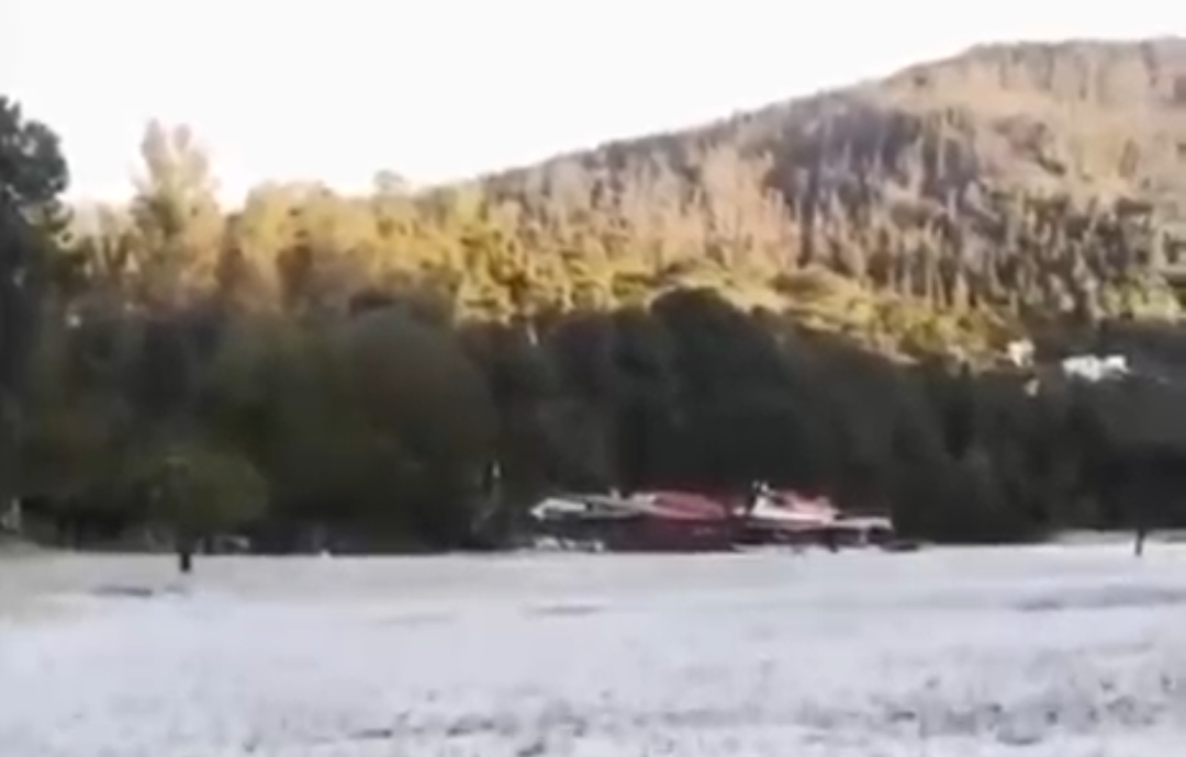 Ooty tourism crisis report Nilgiris epass system impact Tamil Nadu hill station news Ooty botanical garden visitors