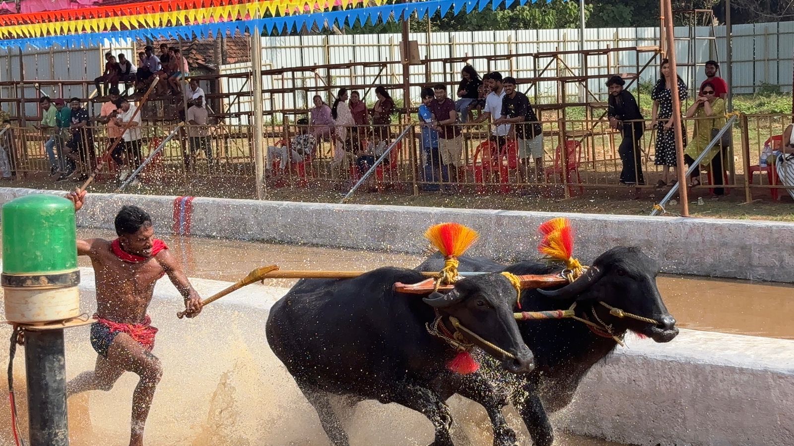 Green Signal For Holding Kambala Across The Karnataka