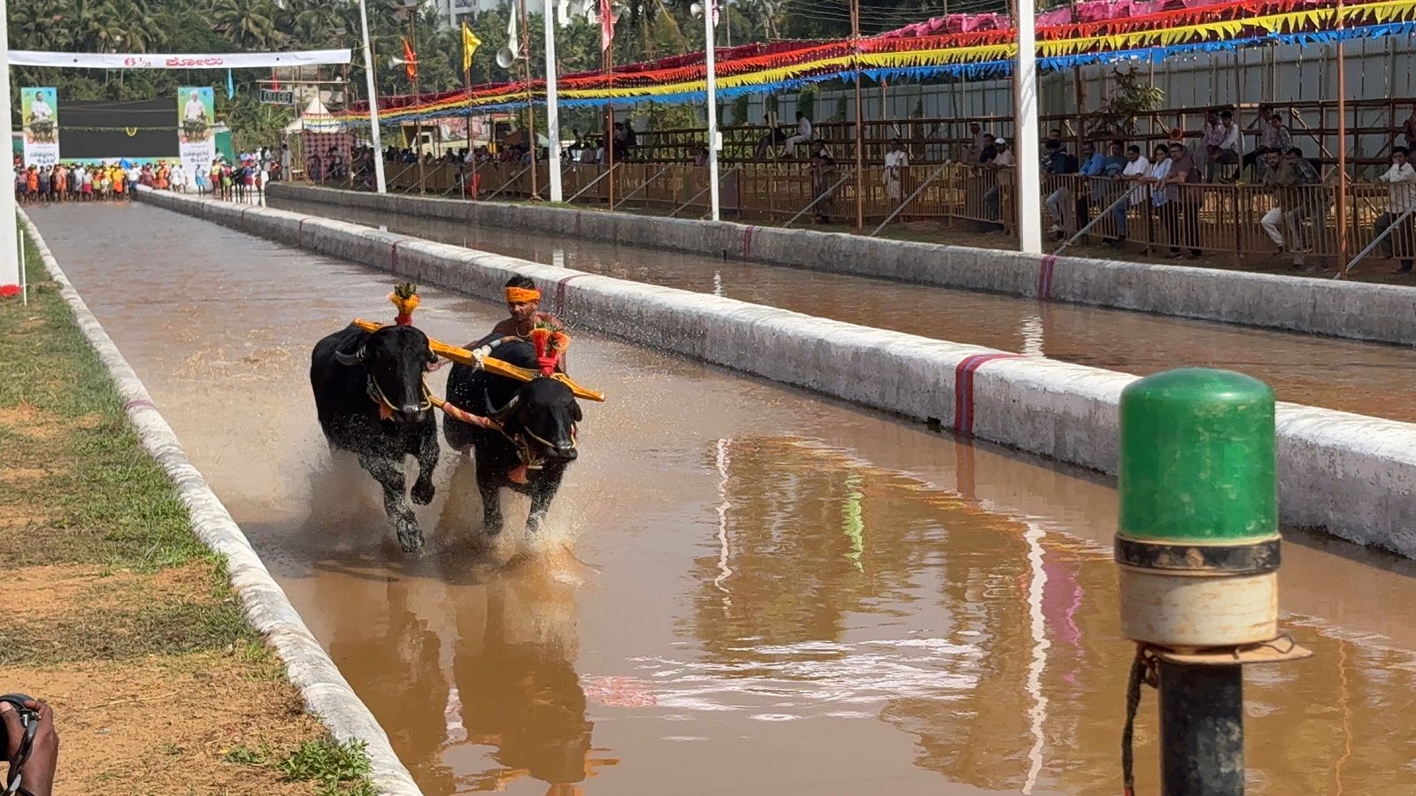 Green Signal For Holding Kambala Across The Karnataka