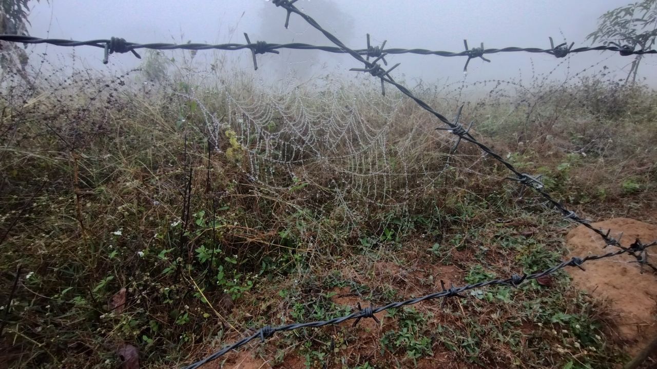 madhya pradesh winter update