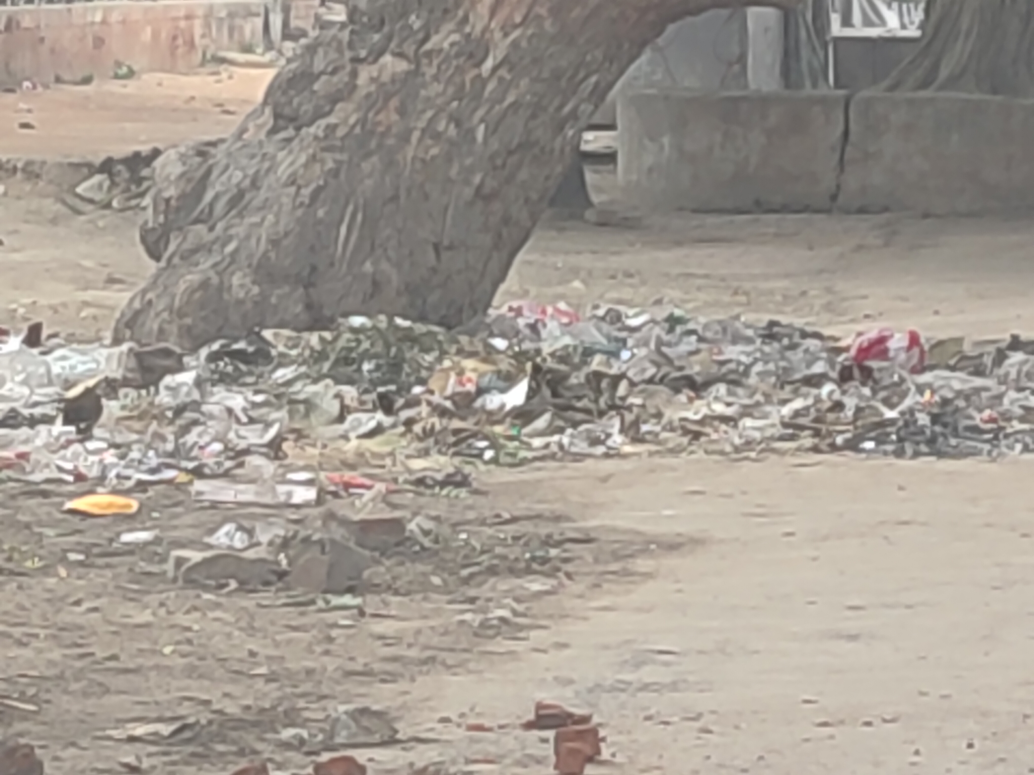 परिक्रमा मार्ग में फैली गंदगी.