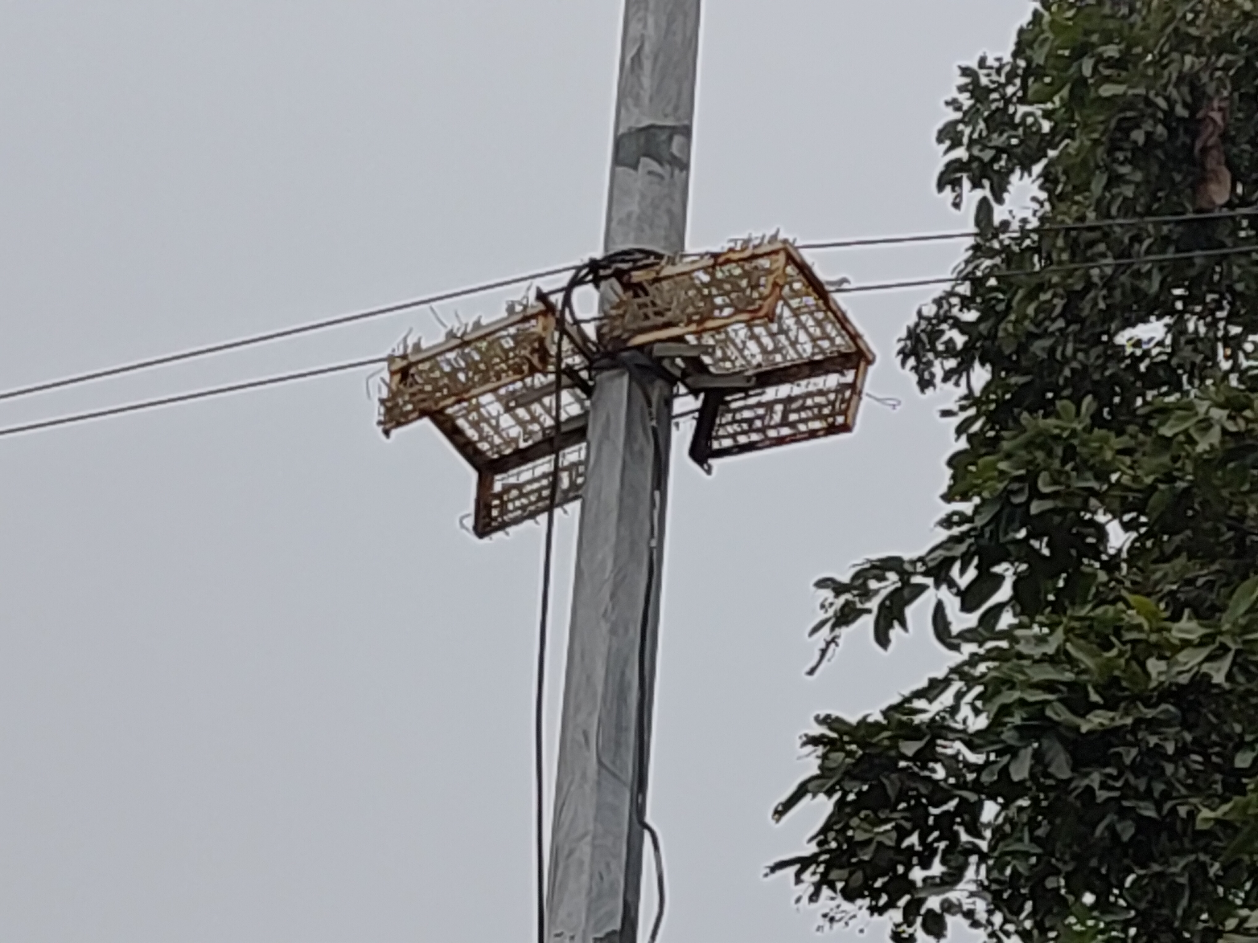 बदहाल स्ट्रीट लाइट.