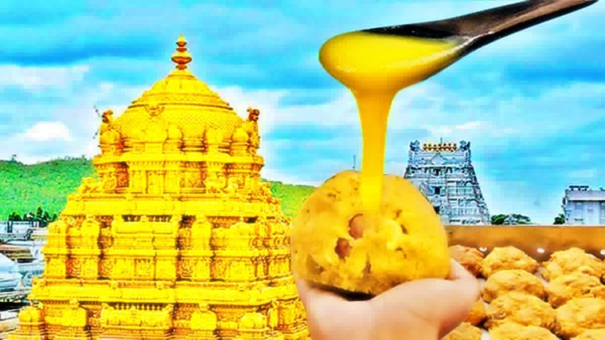 Tirumala Adulterated Ghee Case Update