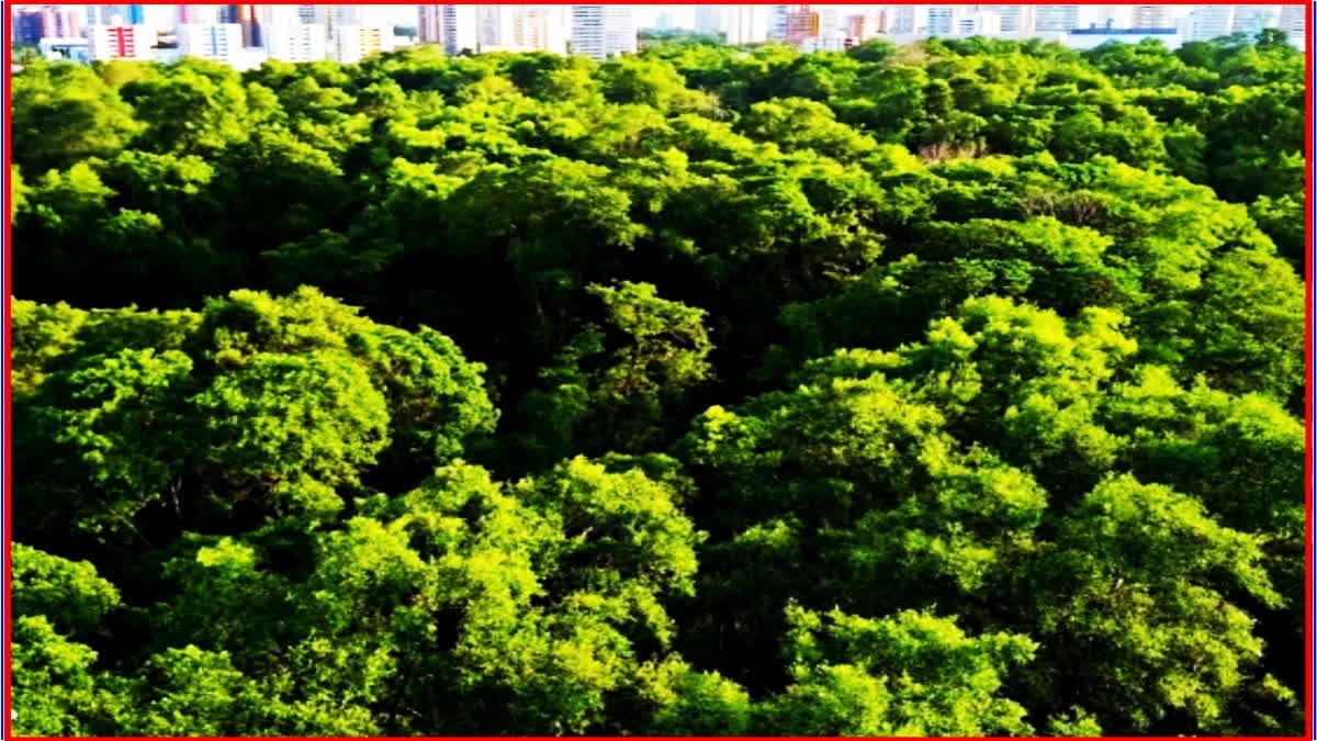 हरियाणा में गर्मी की दस्तक