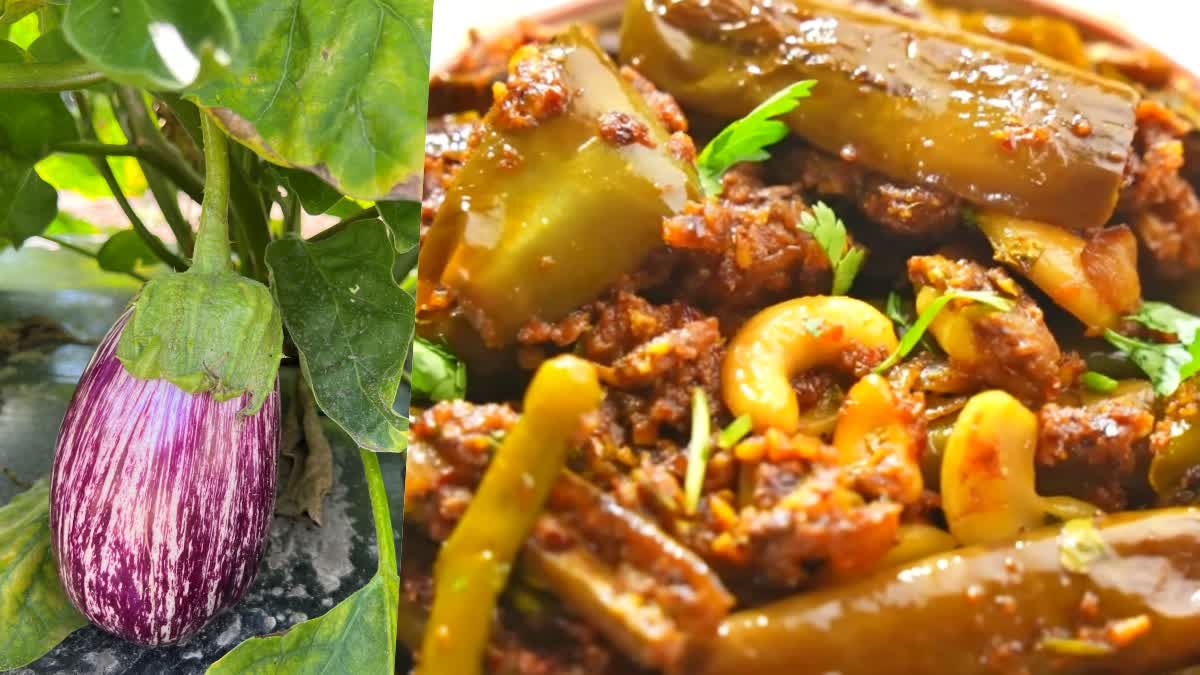 vankaya_jeedipappu_curry