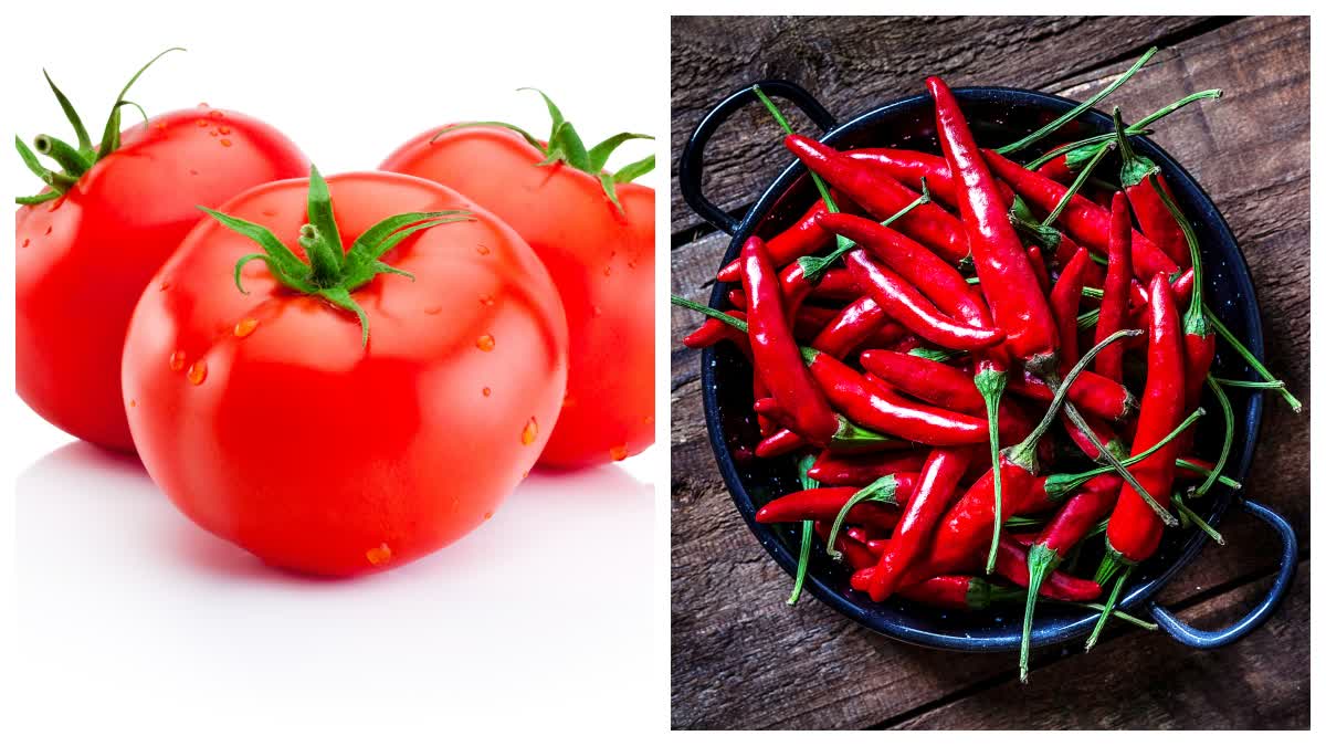 tomato_mirchi_chutney_recipe