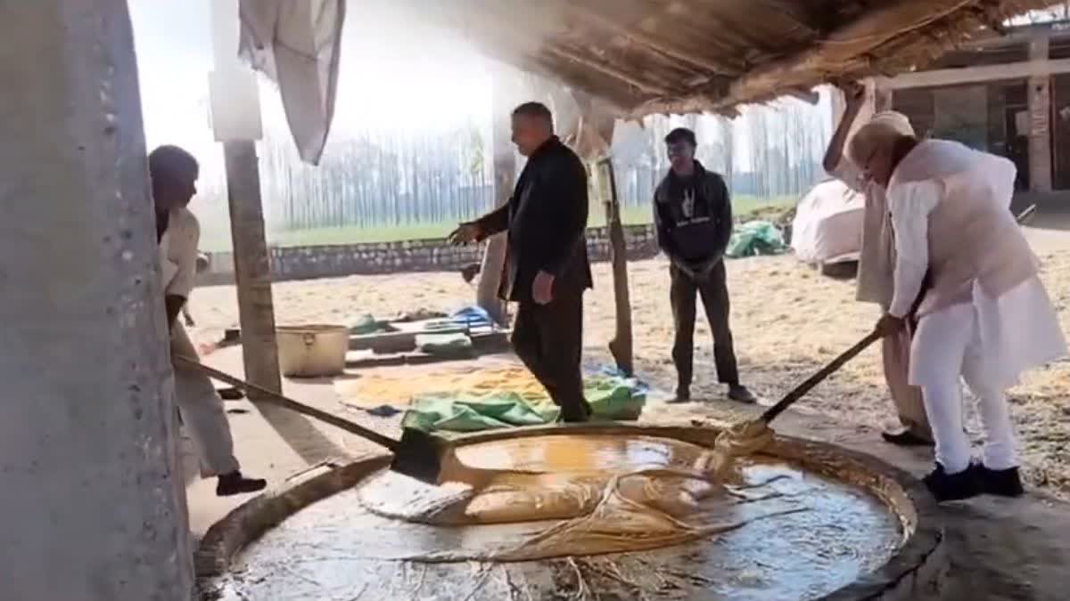 Manohar Lal Khattar making Jaggery