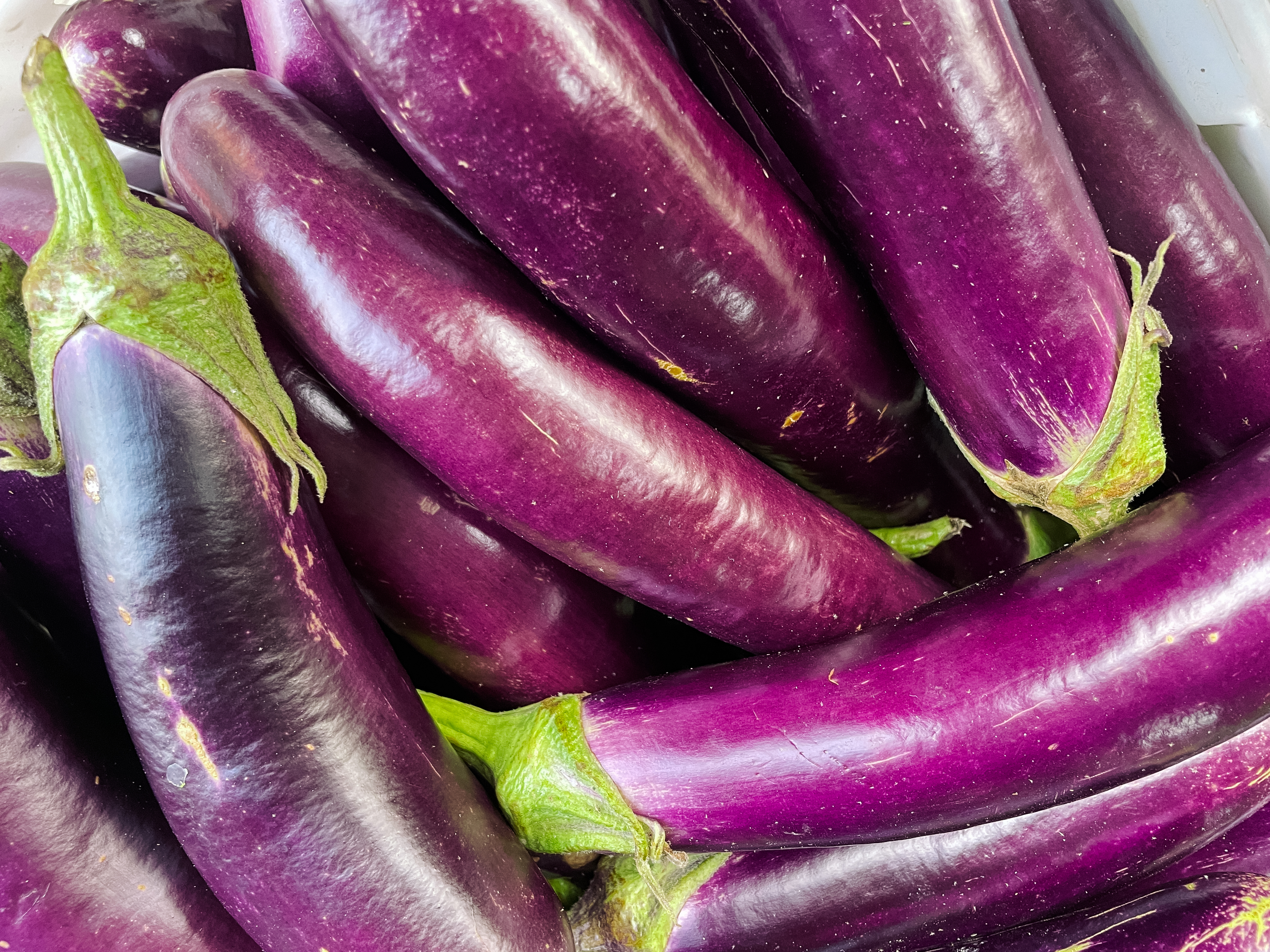 vankaya_jeedipappu_curry