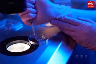 प्रयागराज के IVF सेंटर पर सौदा.