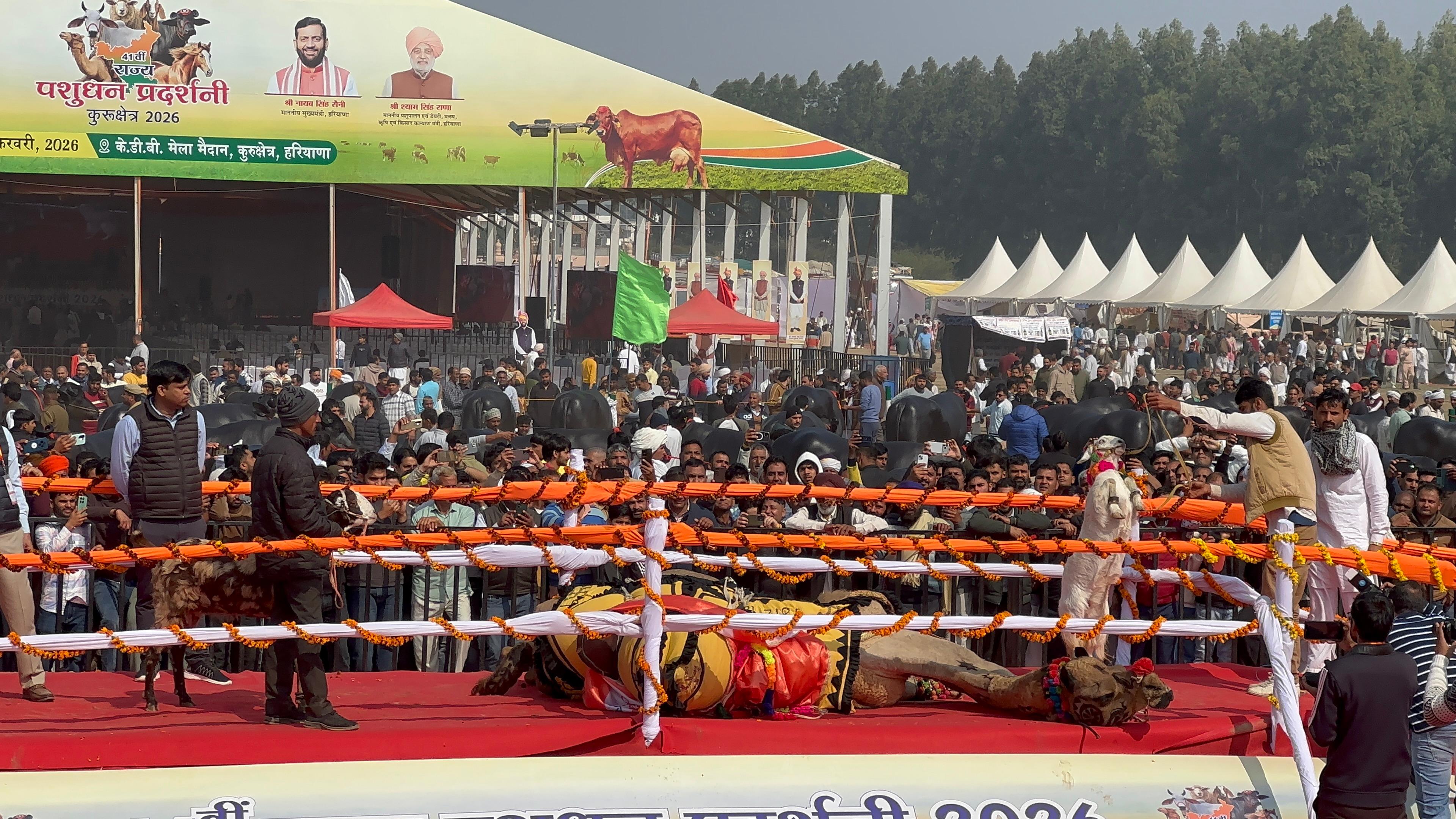 पशु मेला 2026