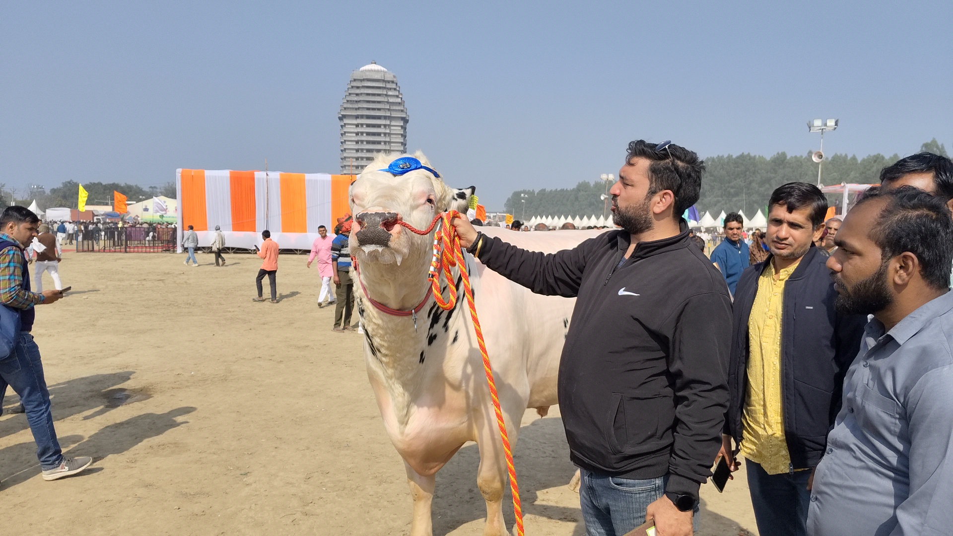 Bulls from Kaithal and Ambala dominated the Kurukshetra cattle fair with an 1800 kg bull becoming the centre of attraction
