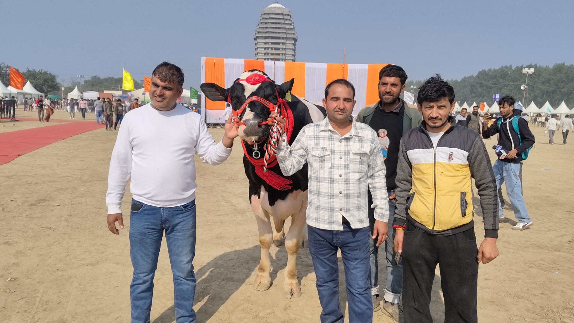 Bulls from Kaithal and Ambala dominated the Kurukshetra cattle fair with an 1800 kg bull becoming the centre of attraction