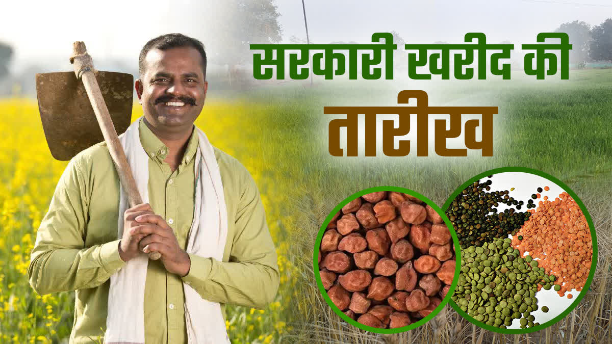 MP: दलहन की सरकारी खरीदी, 20 फरवरी से शुरू होगा रजिस्ट्रेशन