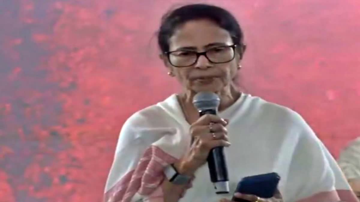 Chief Minister and Trinamool Congress supremo Mamata Banerjee