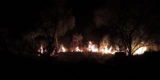 தேனி மலைக்கோயில் வனப்பகுதியில் பற்றி எரியும் காட்டுத் தீ