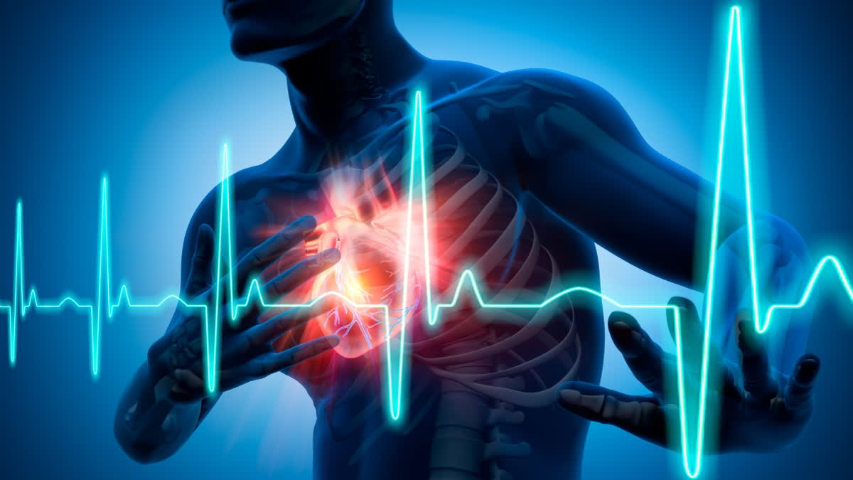 Cardiology consultations