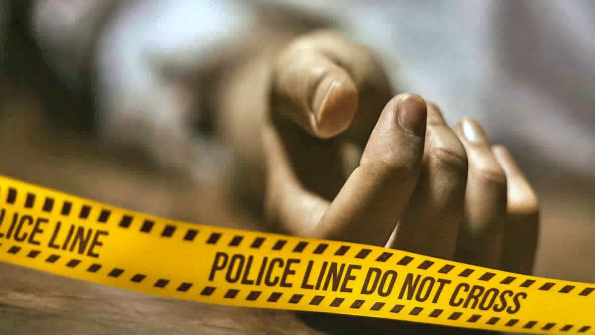 ETV Bharat News - Business - News Image