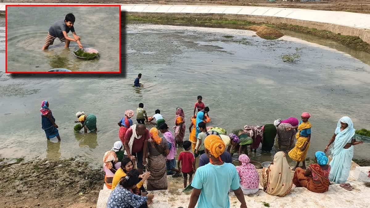 Bachche Mann Ke Sachche: Children Lead Pond Cleanup In Narayanpur, Inspire Mass Community Movement In Chhattisgarh
