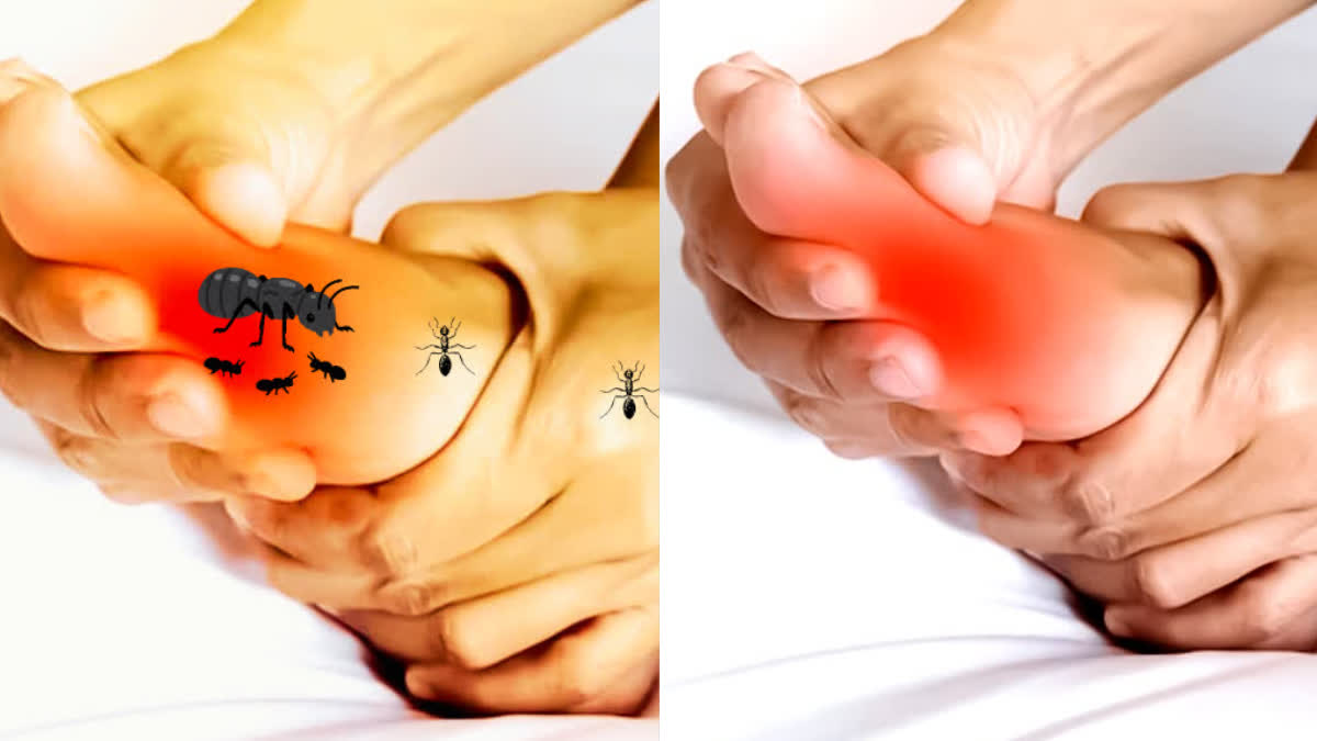 Etv BharatFrequent Tingling in Your Hands and Feet? It Could Be a Sign of a Serious Condition, Learn What Paresthesia Is.