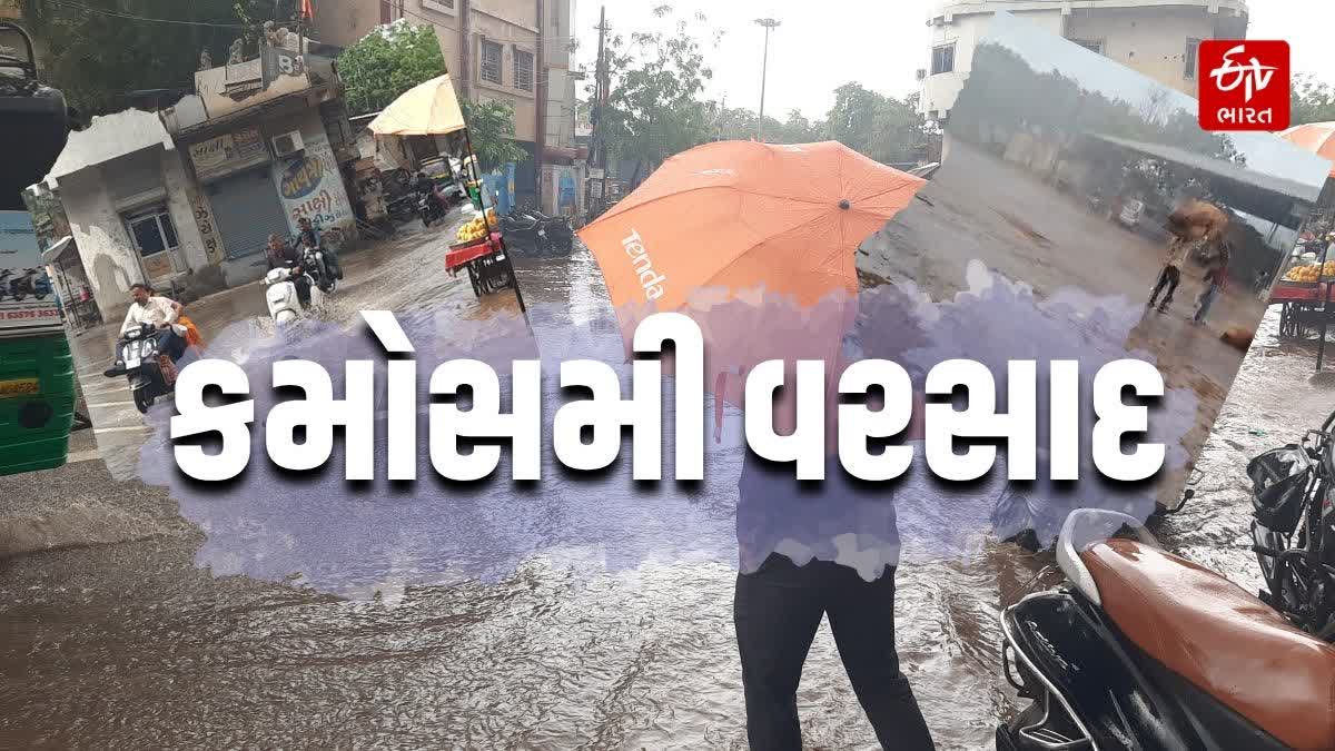 Bhavnagar News ભાવેણુ - ShareChat