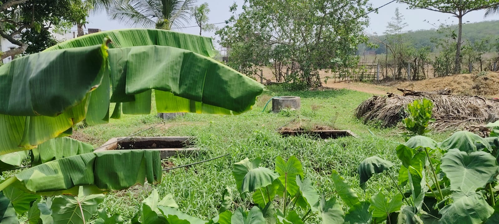 LPG Crisis Pushes Odisha Villages Back To Biogas As Families Revive Gobar Gas Plants