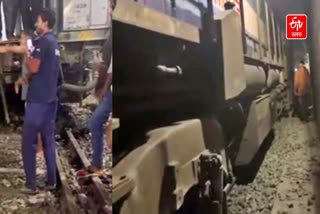 Train hits buffalos