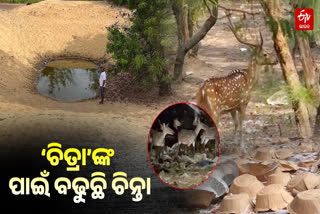 ହରିଣଙ୍କ ଜୀବନ ନେଉଛି ପଲିଥିନ