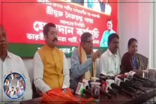 Baijayant Panda