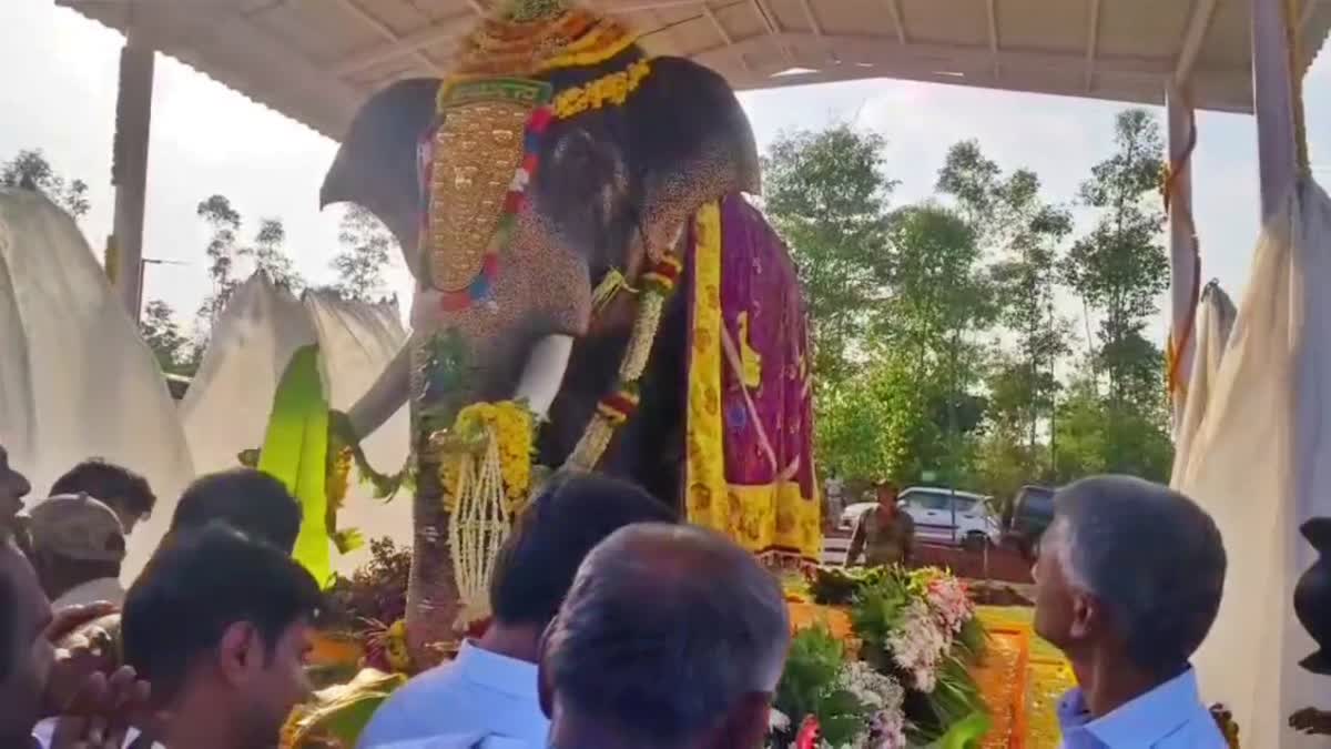 the-elephant-statue-of-arjuna-which-had-won-the-hearts-of-seven-crore-people-of-the-state-was-unveiled