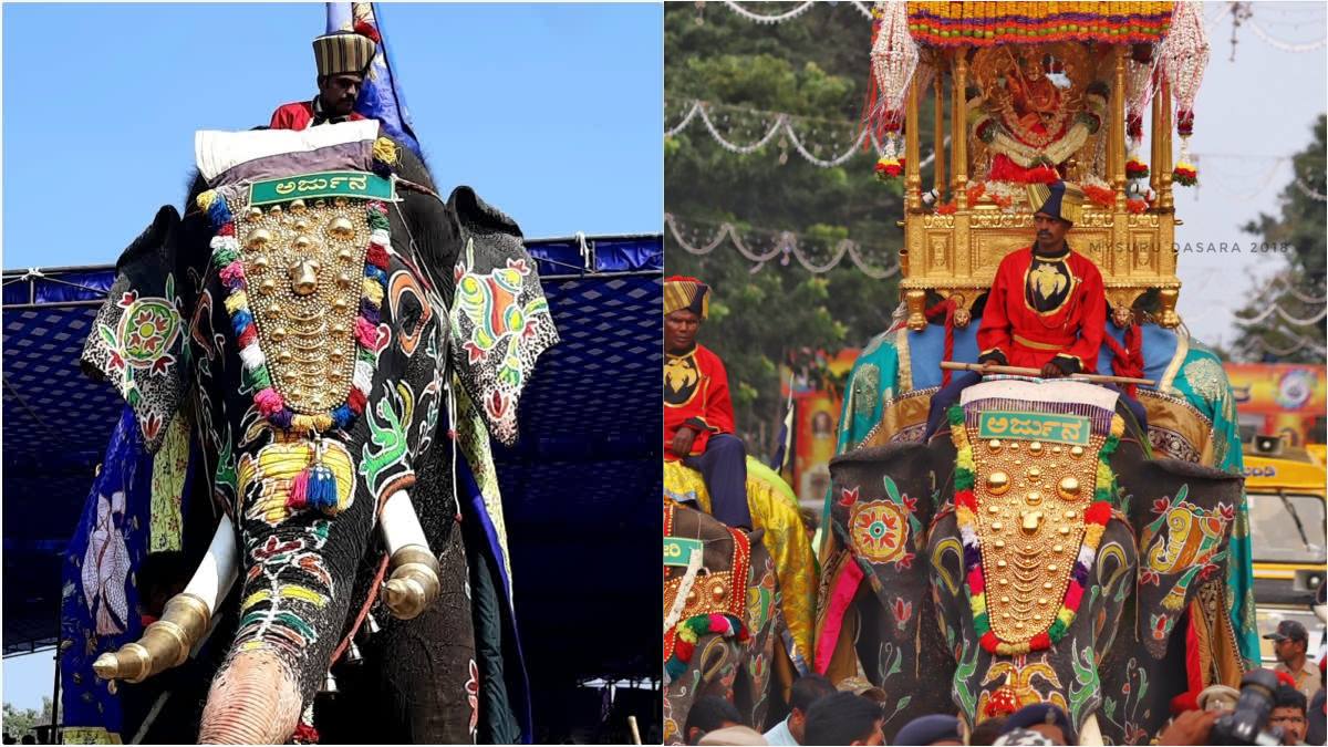 Elephant Arjun Dasara elephant arjun