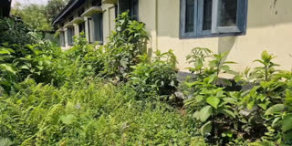 Jonai govt office poor condition