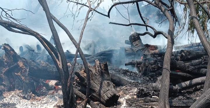 Massive fire breaks out in Barnala