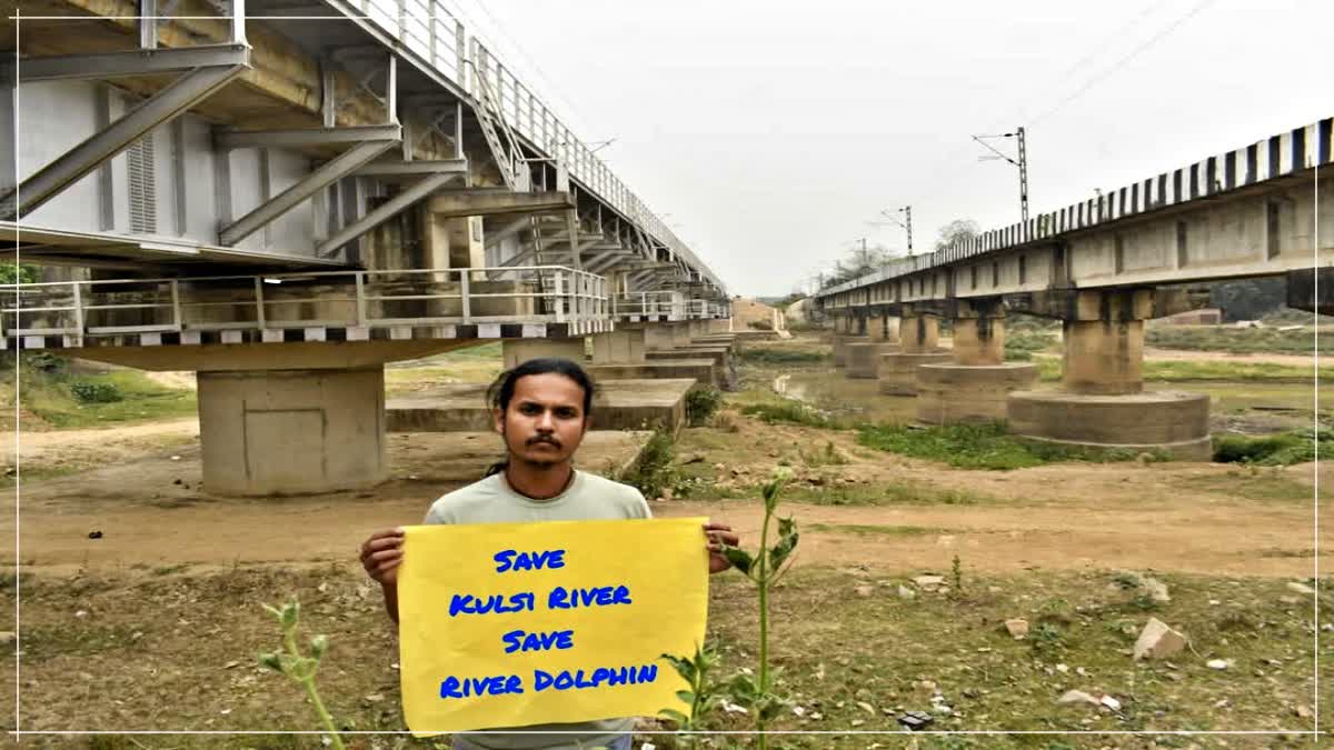 save dolphin population