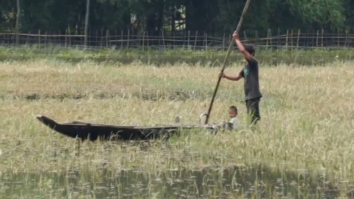 Assam Flood