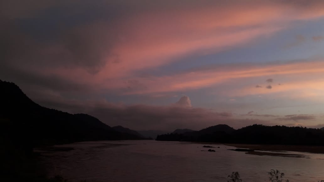 save dolphin population