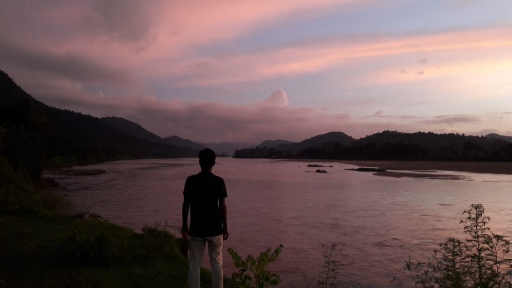 save dolphin population