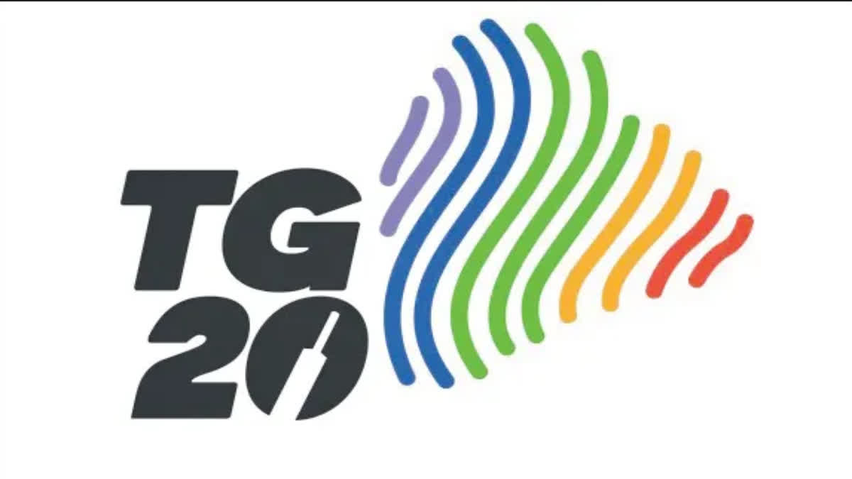 TG20 Auction