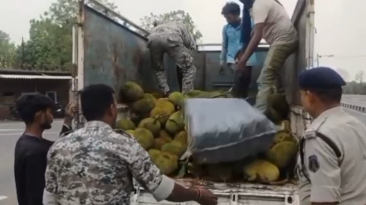 GANJA SMUGGLED