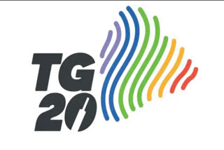 TG20 Auction