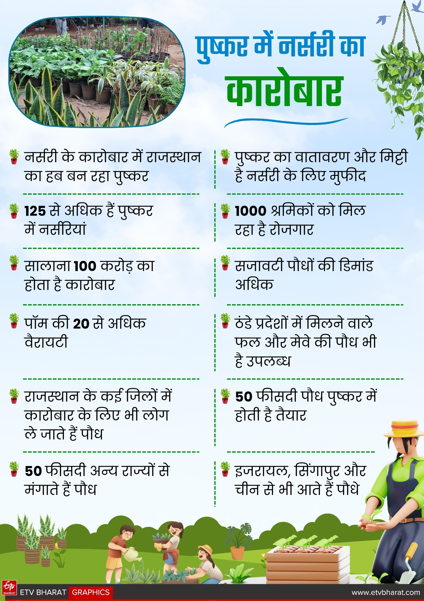 Nursery business in Pushkar