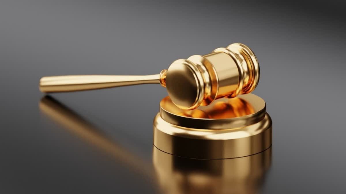 Dog owner sentenced fined