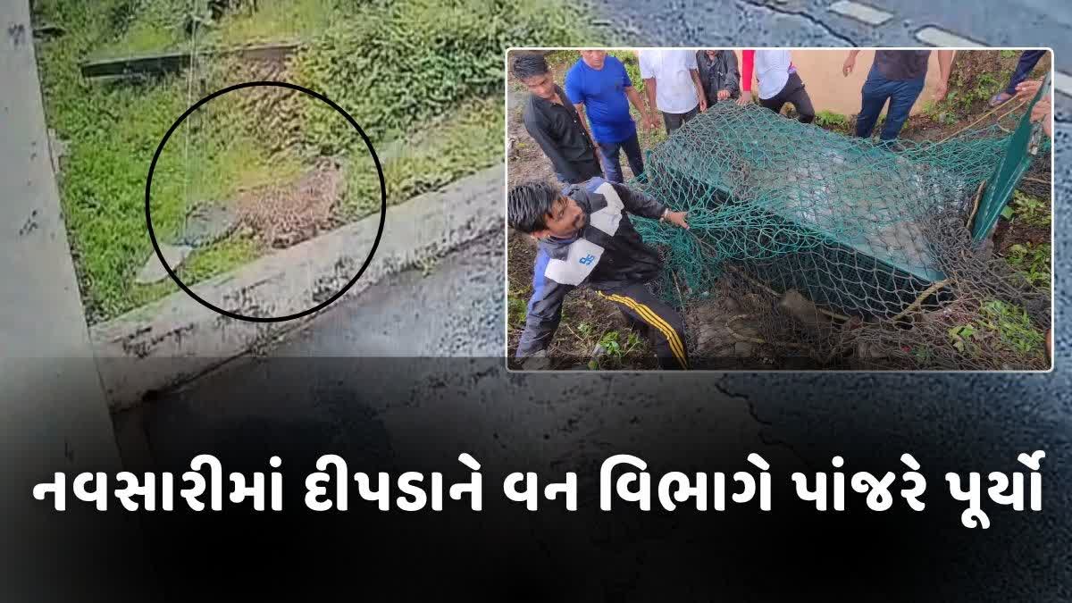 નવસારીના મતવાડમાં દીપડો જોવા મળતા ભયનો માહોલ જોવા મળ્યો હતો