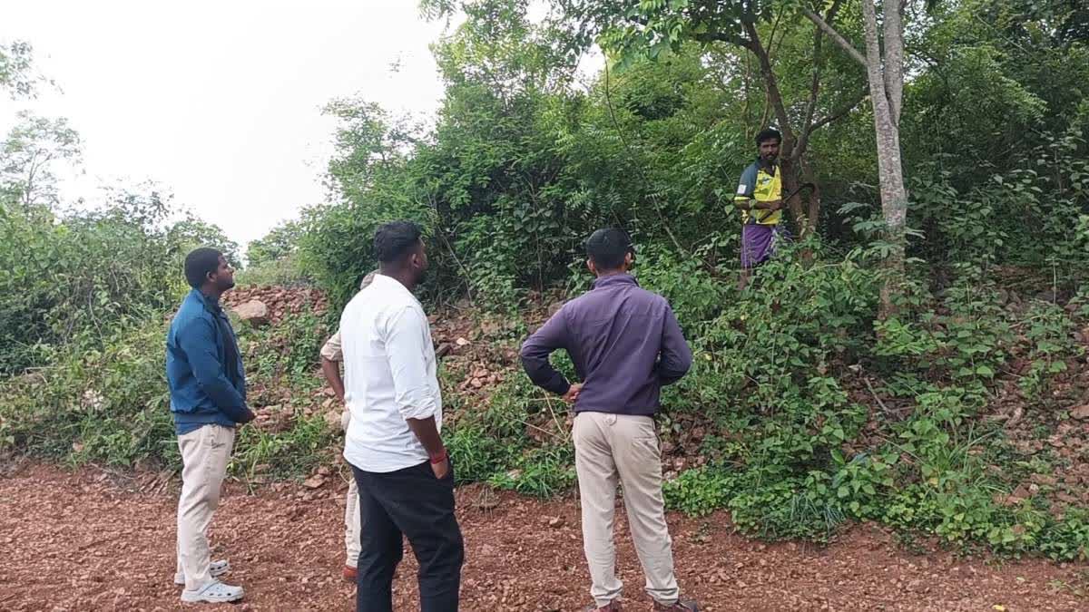 MYSURU  TIGER ATTACK ON FARMER  FARMER CLIMBING TREE  ಹುಲಿ ದಾಳಿ TIGER ATTACK
